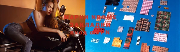 гашик Надым