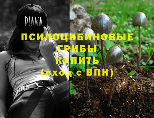 бошки Покачи