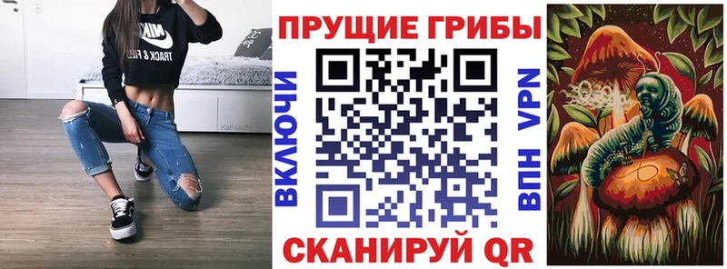 KRAKEN tor  Перевоз  Псилоцибиновые грибы MAGIC MUSHROOMS 